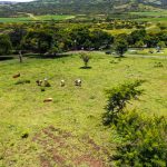 Indabushe Eco Lodge_Game Viewing and Birding