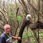 Indabushe Eco Lodge_Game Viewing and Birding