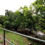 Indabushe Eco Lodge_Nyala Venue Hall